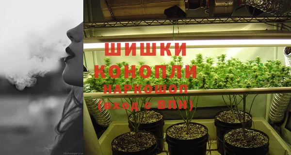 дмт Вяземский