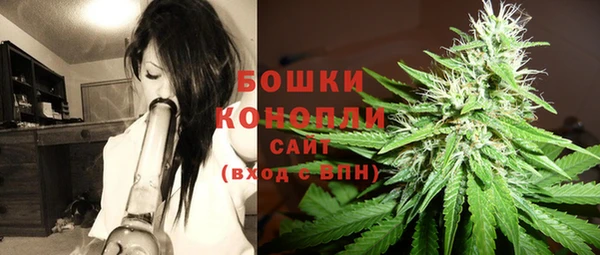 мдпв Вязьма