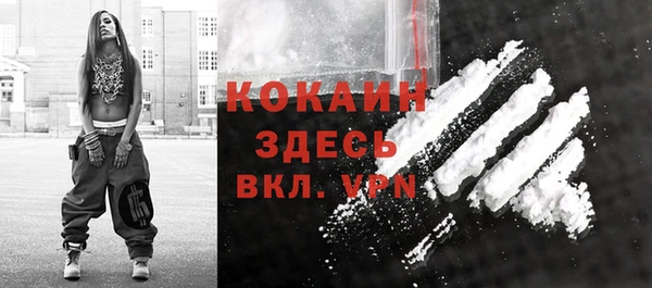 шишки Володарск